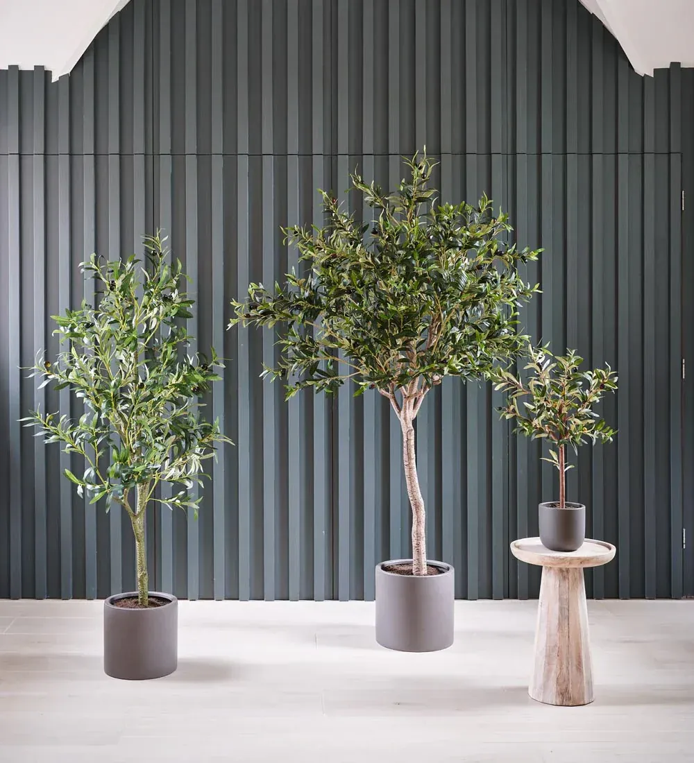 Designer Vertical Gardens – Elevate Your Space with Effortless Greenery